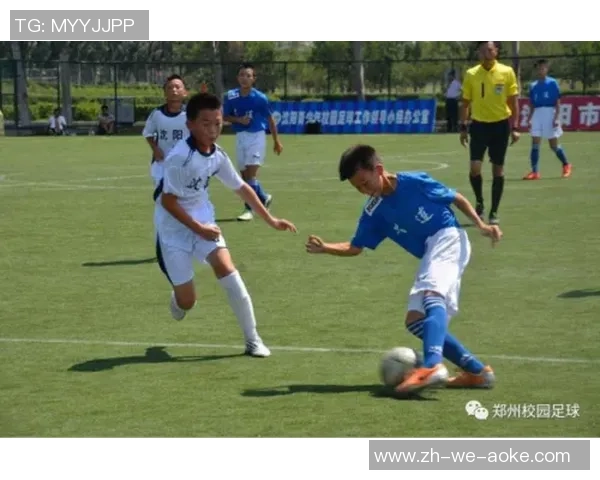 赛拉图足球：探索这项运动的魅力与未来发展潜力